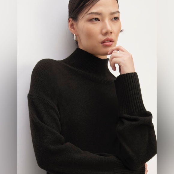 NWT Everlane The Cashmere Oversized Turtleneck - Picture 2 of 13